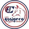 image-o6jamax07v9s3t6