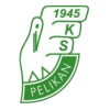 image-s5ofw4kogehn5ek
